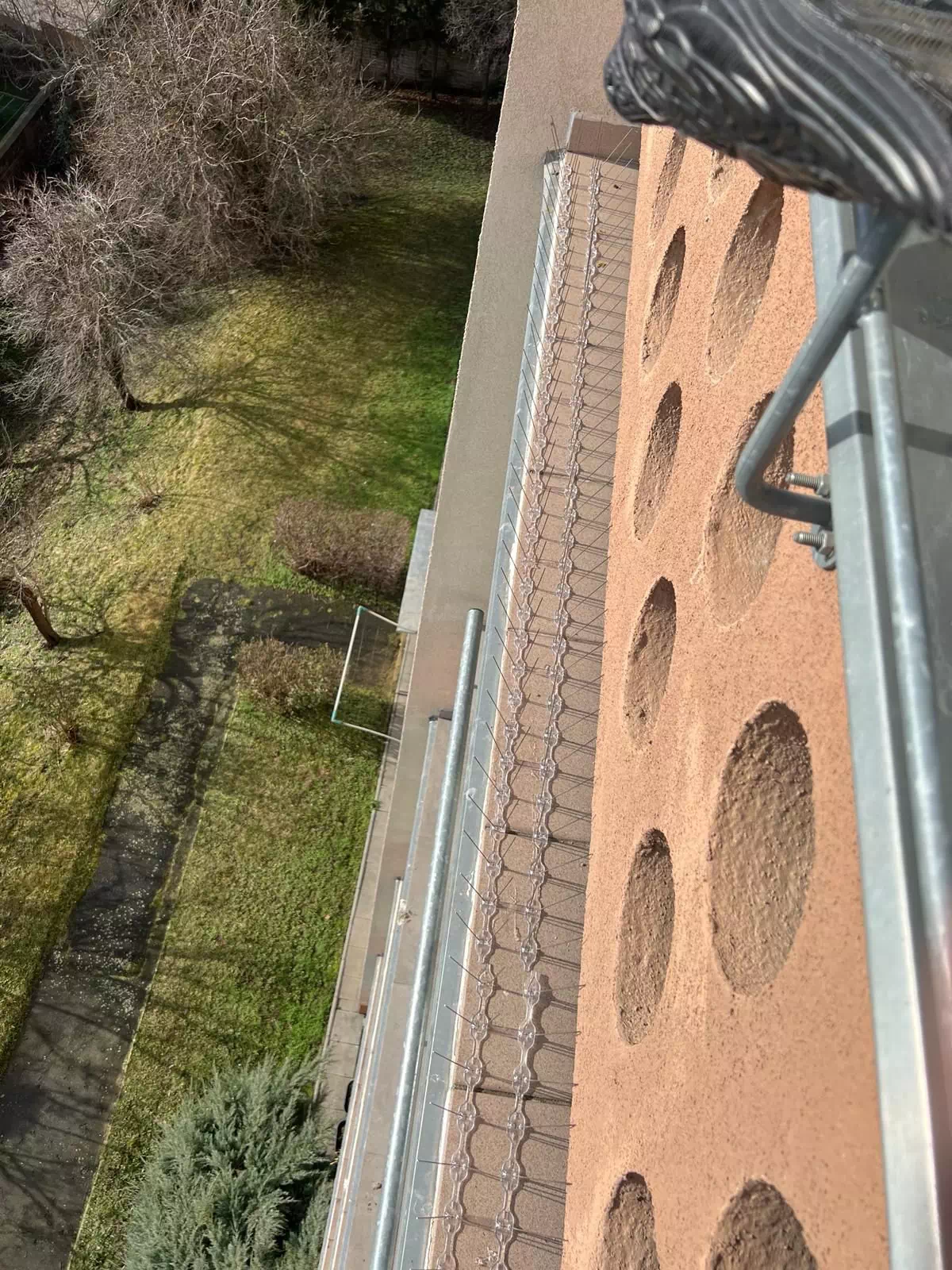 Bodce proti holubům